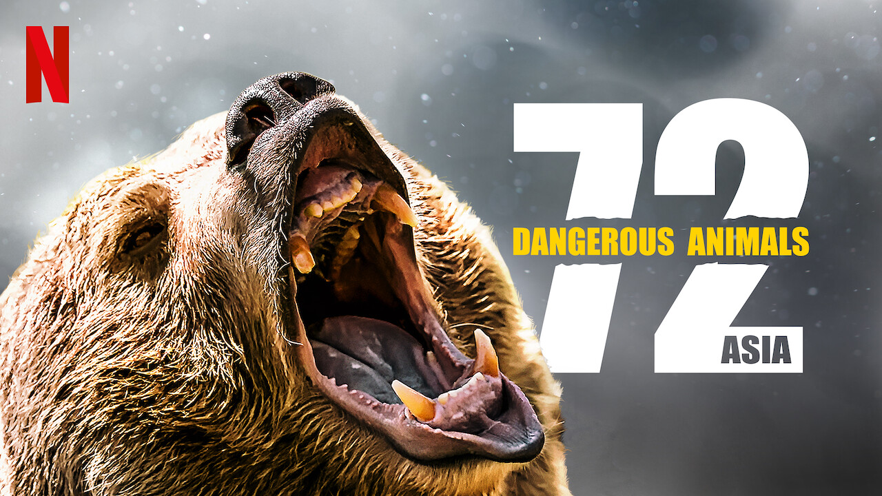Is '72 Dangerous Animals: Asia' available to watch on Netflix in