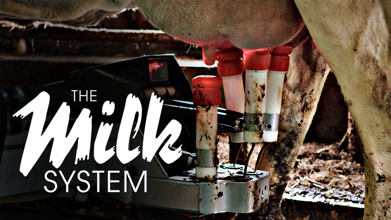 Is 'The Milk System' available to watch on Netflix in Australia or New